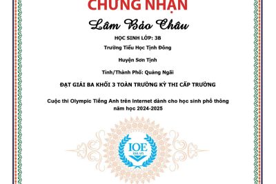 Kết quả cuộc thi IOE cấp trường năm học 2024 – -2025